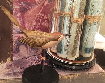 Biological model of a littel tailor bird.