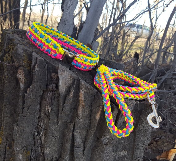 Rope Dog Collar and Matching leash 550 Paracord Double Cobra