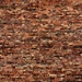 Red Brick Backdrop - Grunge old Brick wall - Printed Fabric Photography Background G0729