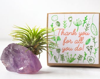 Amethyst Crystal Thank You Gift, Thank You For All You Do, Crystal Air Plant Gift, Mentor Gift, Coworker Gift, Appreciation Gift For Coach