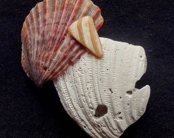 Neocon Shell Pin cinquantatre