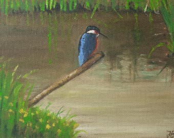 Kingfisher,Slimbridge, small unframed original oil painting, oil on canvas 5x7"