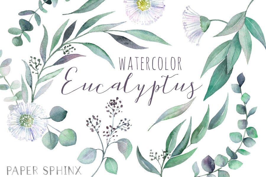 Download Watercolor Eucalyptus Clipart Greenery Clipart Flowers