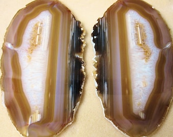 Pair Agate Slabs from Brazil, Polished Potential Butterfly-6 inches