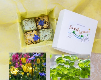 Seed bomb pack, save the bees, herb seed bombs, handmade seed bombs basil, dill, parsley, eco friendly gift, plantable bee friendly flowers