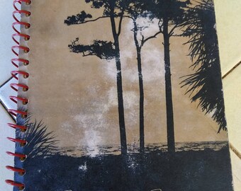 Coastal Cookery, Vintage Southern Cookbook