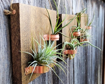 Set of Three Hanging Wood Plaques with Copper Holders and Six Air Plants