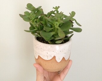 Little Cloud Planter - speckled planter white ceramic plant pot scallop design, white stoneware flower pot with wax resist cloud
