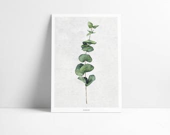 Poster / Pflanze No.1