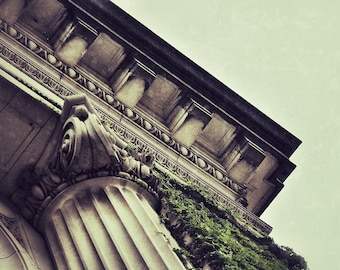 Architecture Photography, Urban Art, Column and Ivy, City Art, Springfield MA, Fine Art Photography 5x7