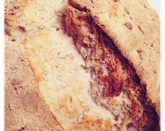 Sourdough Bread Starter - Dried Culture (Organic Non-GMO) San Francisco, Swedish Rye, Wheat, Gluten Free Brown Rice, Italian, French