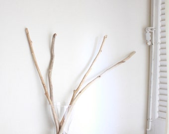4 Driftwood Branches -- 22" to 25.2" (56 to 64 cm) -- Fine Quality Sea Drift Wood -- For DIY Art Projects, Wall Hangings, Herbs Rack