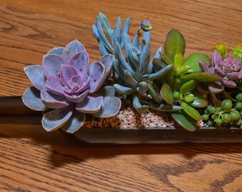 Wine Bottle Succulent Planter Kit DIY