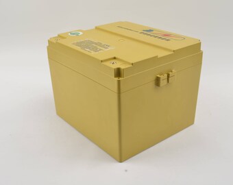 Rechargeable Battery Packs with PCM and Plastic Case for Light Electric Vehicles