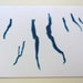 Finger Lakes - 8 x 10" layered papercut art