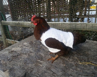 Knit Chicken Sweaters (Medium Weight) - Handmade