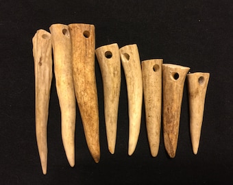 Five Antler Tines (Made to order)