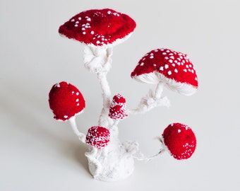 Textile Fungus Specimen Mushroom Toadstool ,Fiber art, Fungus sculpture, weich sculpture