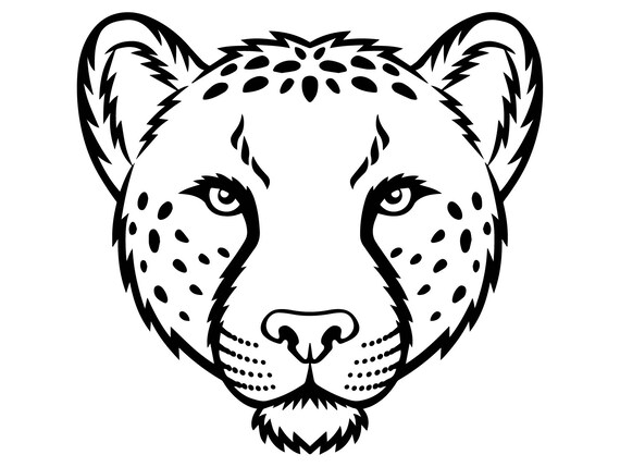 Download Cheetah 7 Leopard Jaguar Wild Cat Spots Wildlife Wild Animal