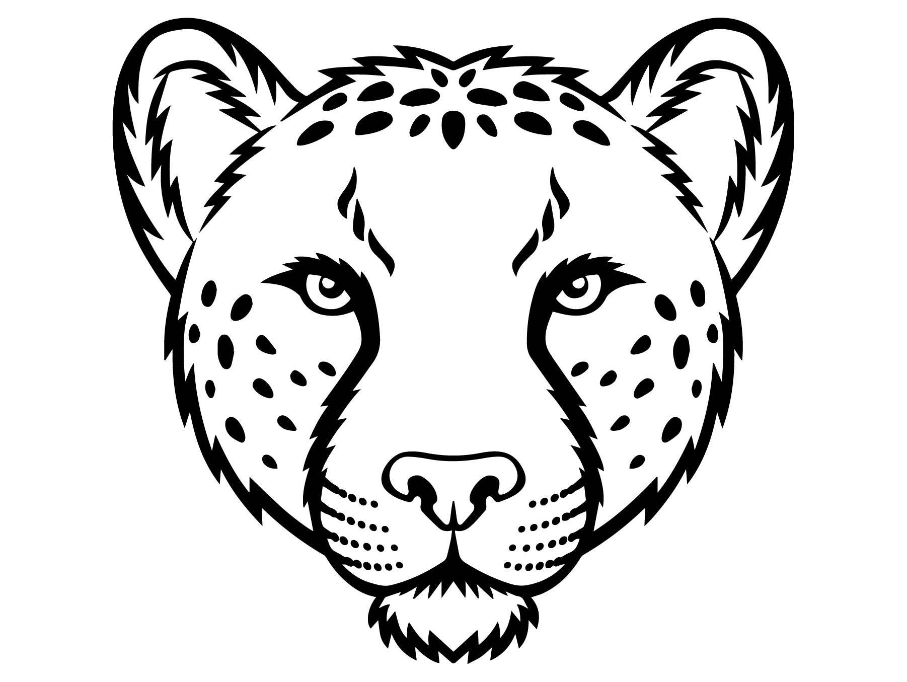 Download Cheetah 7 Leopard Jaguar Wild Cat Spots Wildlife Wild Animal