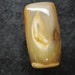 Giant sequoia petrified wood freeform cabochon
