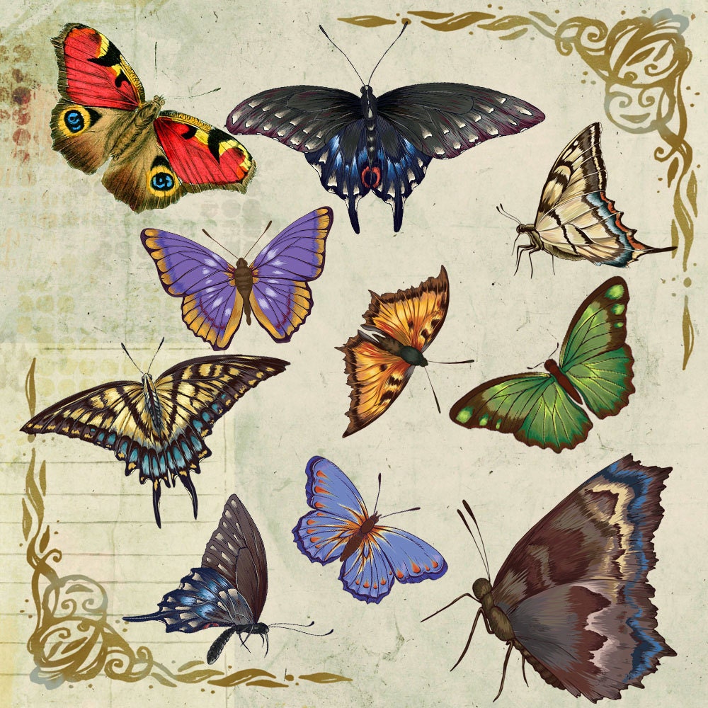 10 vintage butterflies royalty free clip art printable graphic