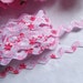 Floral print Ric Rac Trim red white 1/4 inches wide price for 2 yards