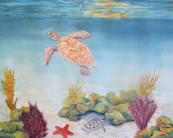 Turtles in the Bahama Coral Reef