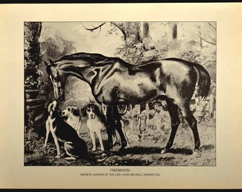 Horse Print Horse Wall Art Horse Wall Decor Book Page Thoroughbred