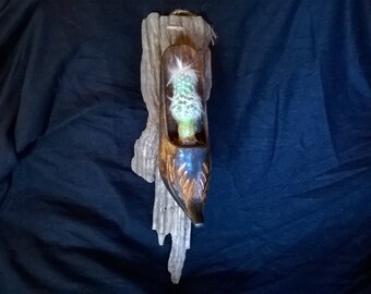 cache pot hoof Driftwood