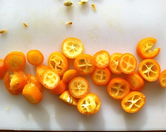 5 Kumquat "Meiwa" Seeds-1180A