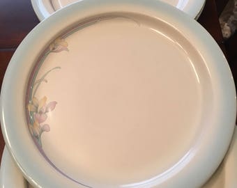 Noritake Rainbow End Dinner Plates - Set of 4 - Stoneware - Made in Japan