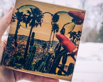 palm trees