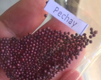 Pechay Petsay Vegetable Seeds Philippine Dept of Agriculture