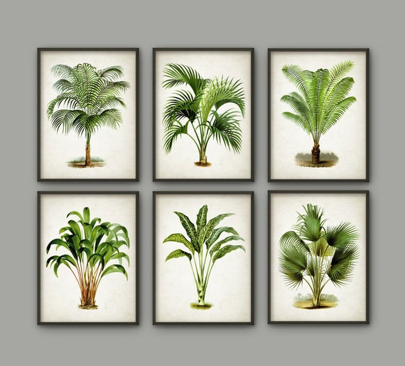 Palm Tree Botanical Wall Art Print Set of 6 Modern Home