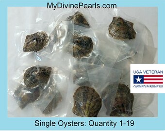 Akoya Oyster w/ Genuine Pearl! (Unopened /Vacuum Packed)