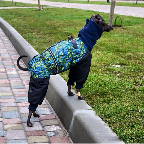 Full Body Dog Suit Greyhound Winter Dog Clothes Dog