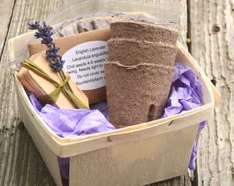 Lavender Plant Kit, English Lavender Garden Set, Lavender Herb Garden, Gift for Her, Hostess Gift, Gardening Gift Set, Gift for Mom