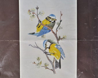 Vintage blue tits embroidery kit by Penelope, started