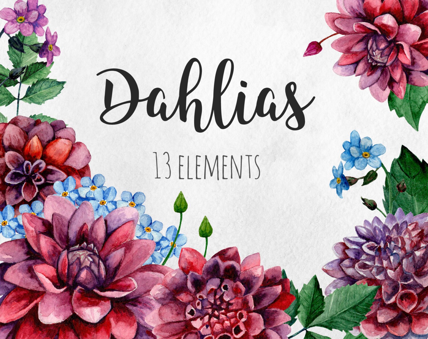 Dahlias Clip Art Watercolor Flowers Clipart Purple Floral Hand Dahlias Clip Art Watercolor Flowers Clipart Purple Floral Hand