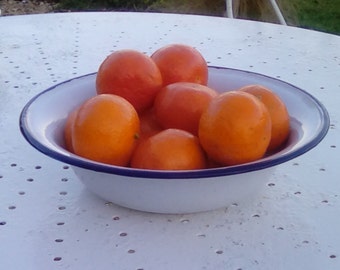 French vintage enamelware bowl