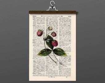 Pressure - STRAWBERRIES - antique book page