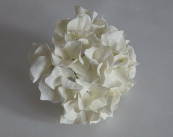 Gumpaste hydrangea ecru