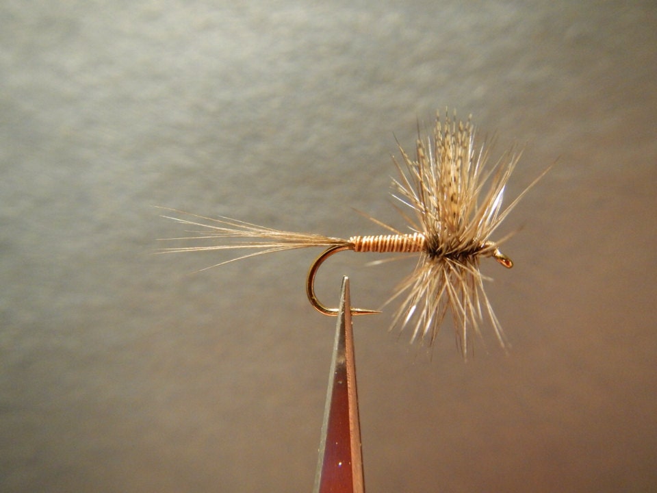 Red Quill Dry Fly 6 flies