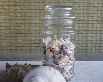 Vintage Apothecary Jar, Glass Display Jars, Cottage Decor, Shabby Chic