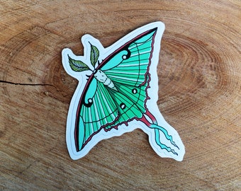 Luna Moth Sticker
