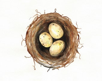 Nest with yellow eggs , Print, Bird Art, bird Nest Print, yellow eggs, Watercolor Print, Mother's Day Gift, Home Decor