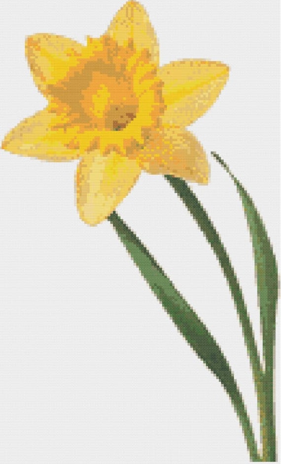 Daffodil Cross Stitch Pattern