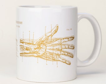 Human Anatomy Mug | Hand Coffee Mug, Physical Therapy, Nurse, Nursing, Anatomical Diagram, Medical Illustration, Physiology, Science Biology