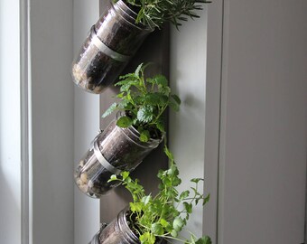 Jardin d’herbes à l’intérieur / / jardin d’herbes aromatiques pot Mason / / mason jar décor / / mason jardinière en bocal
